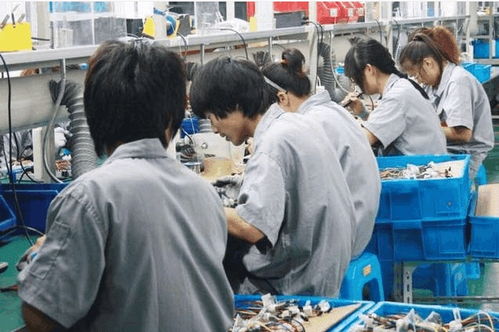 從電子廠到個(gè)人護(hù)理電器 農(nóng)村青年就業(yè)選擇背后的生存智慧